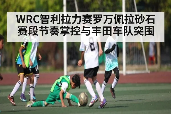 WRC智利拉力赛罗万佩拉砂石赛段节奏掌控与丰田车队突围