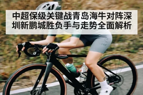 中超保级关键战青岛海牛对阵深圳新鹏城胜负手与走势全面解析